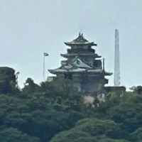 画像238