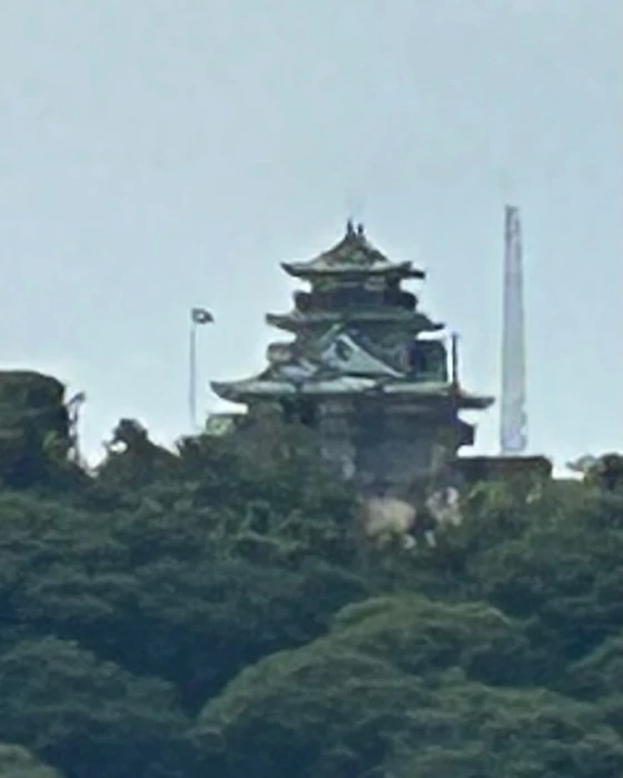 画像238